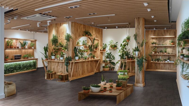 92 Union Street AI retail